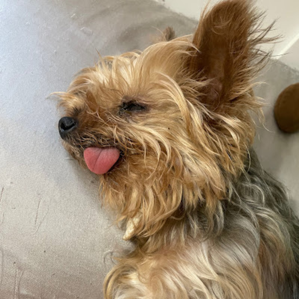 Meet your Posher, Victoria